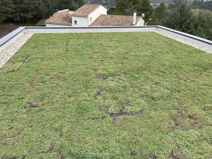 Une toiture végétale étanche, isolante et avec un design unique